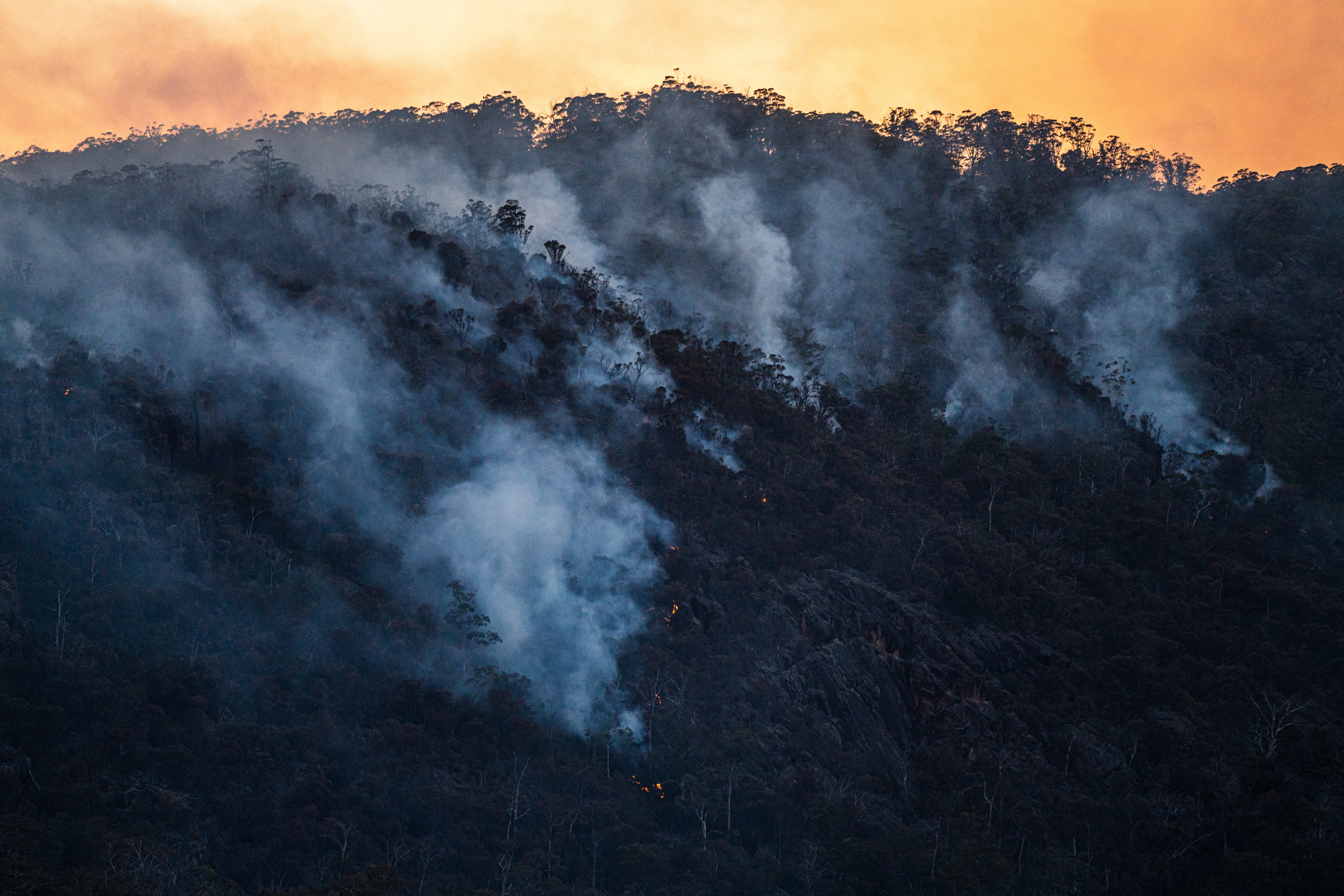 smoke rising through mountain treetops from an Australian bushfire