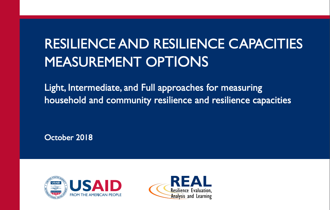 Resilience and Resilience Capacities Measurement Options Thumbnail