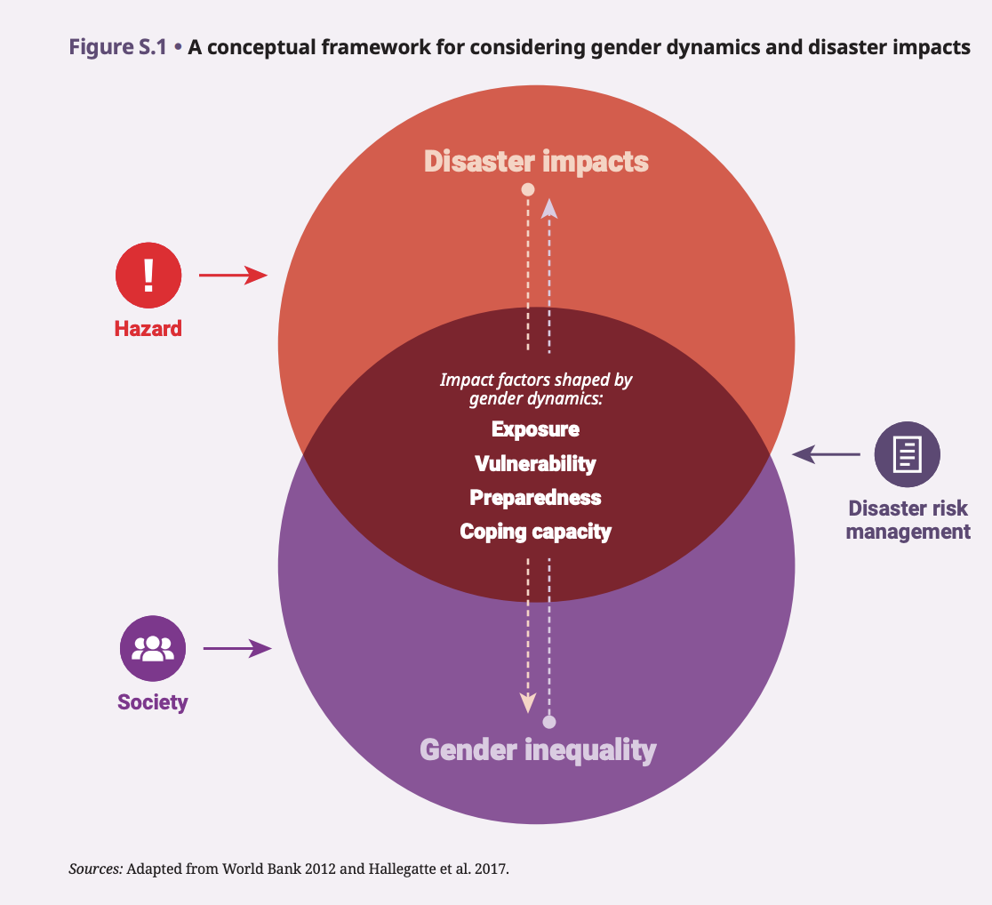 Gender resilience conceptual framework