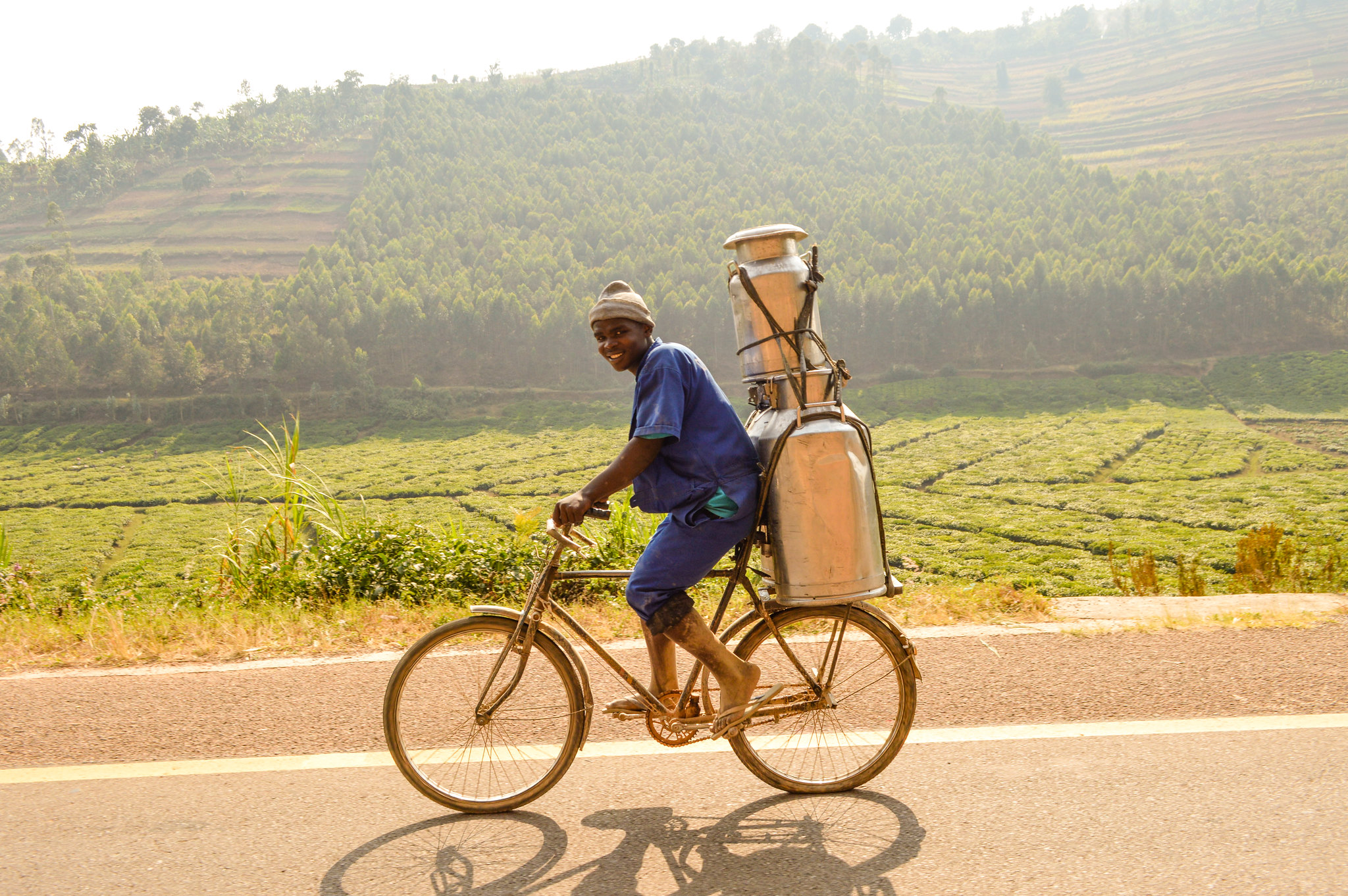 young African man bicycling down a paved road carrying a large container of milk on the back of the bike with hills of farmland in the background