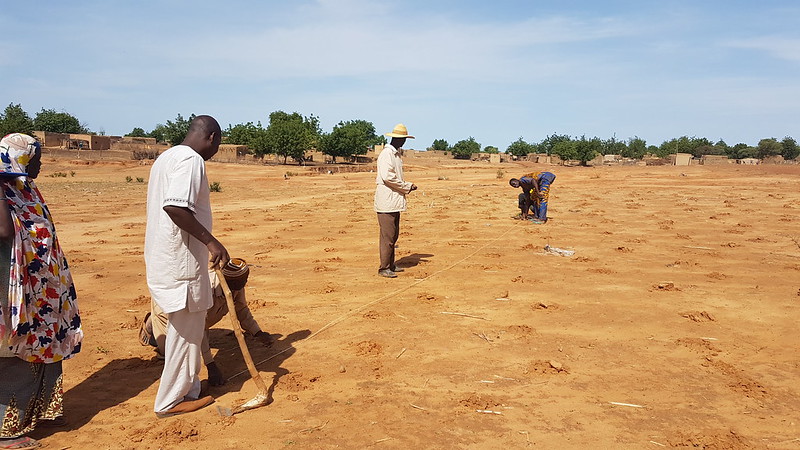 farmers in Niger stand in an empty dry field