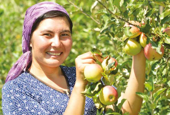woman smiles while picking apples