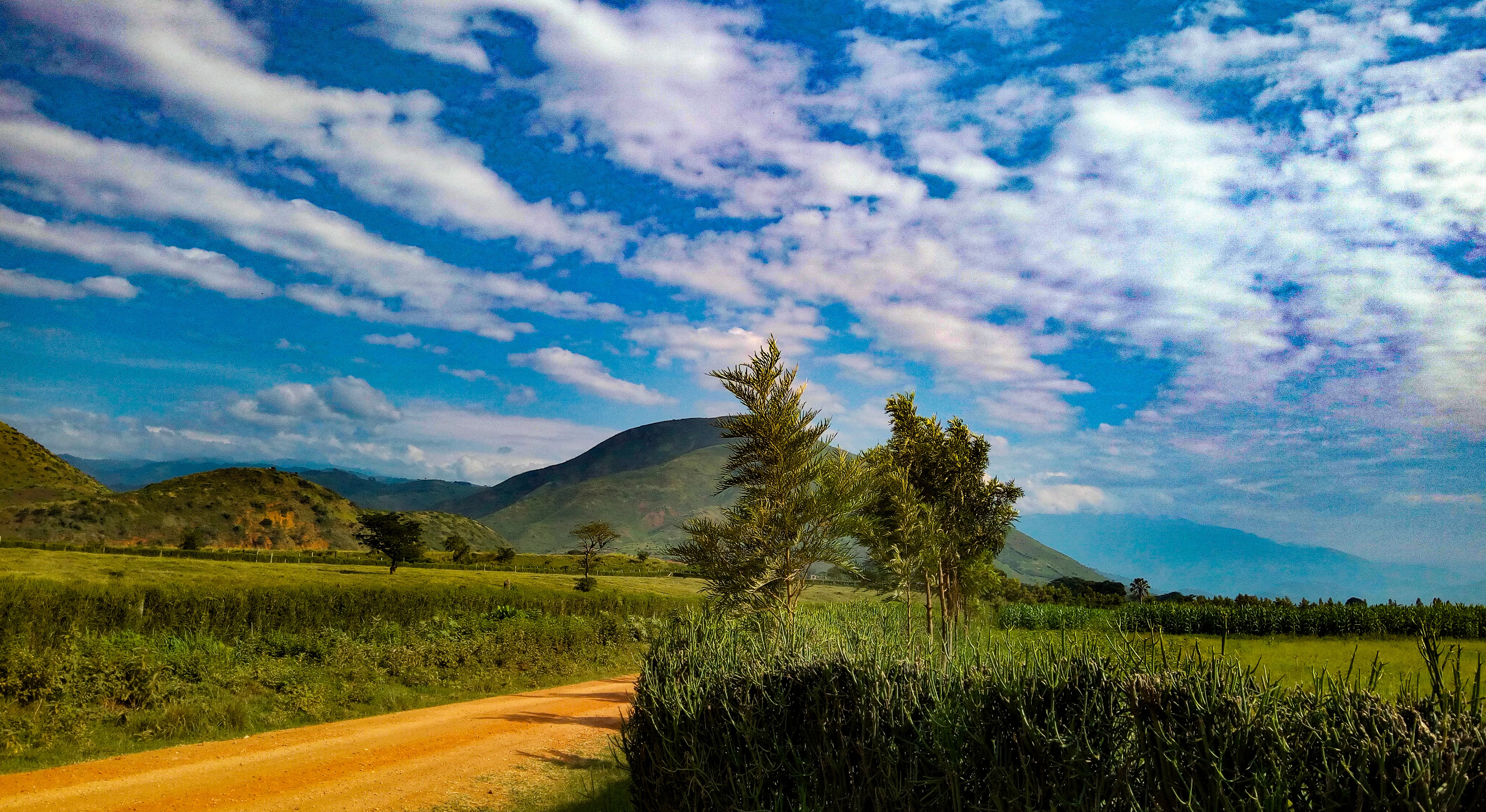 ugandan mountain landscape