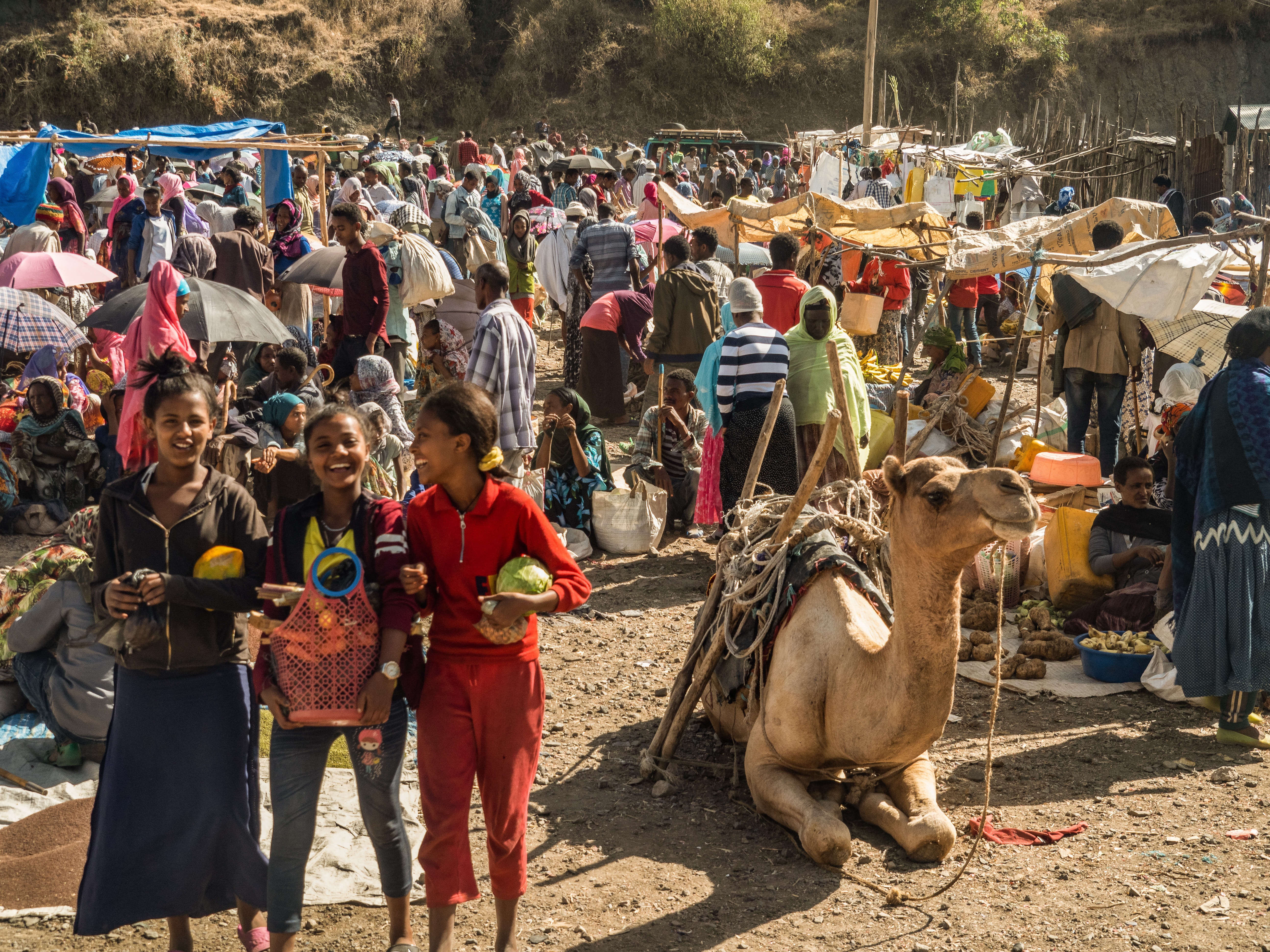 busy Ethiopian market with a camel and laughing young women