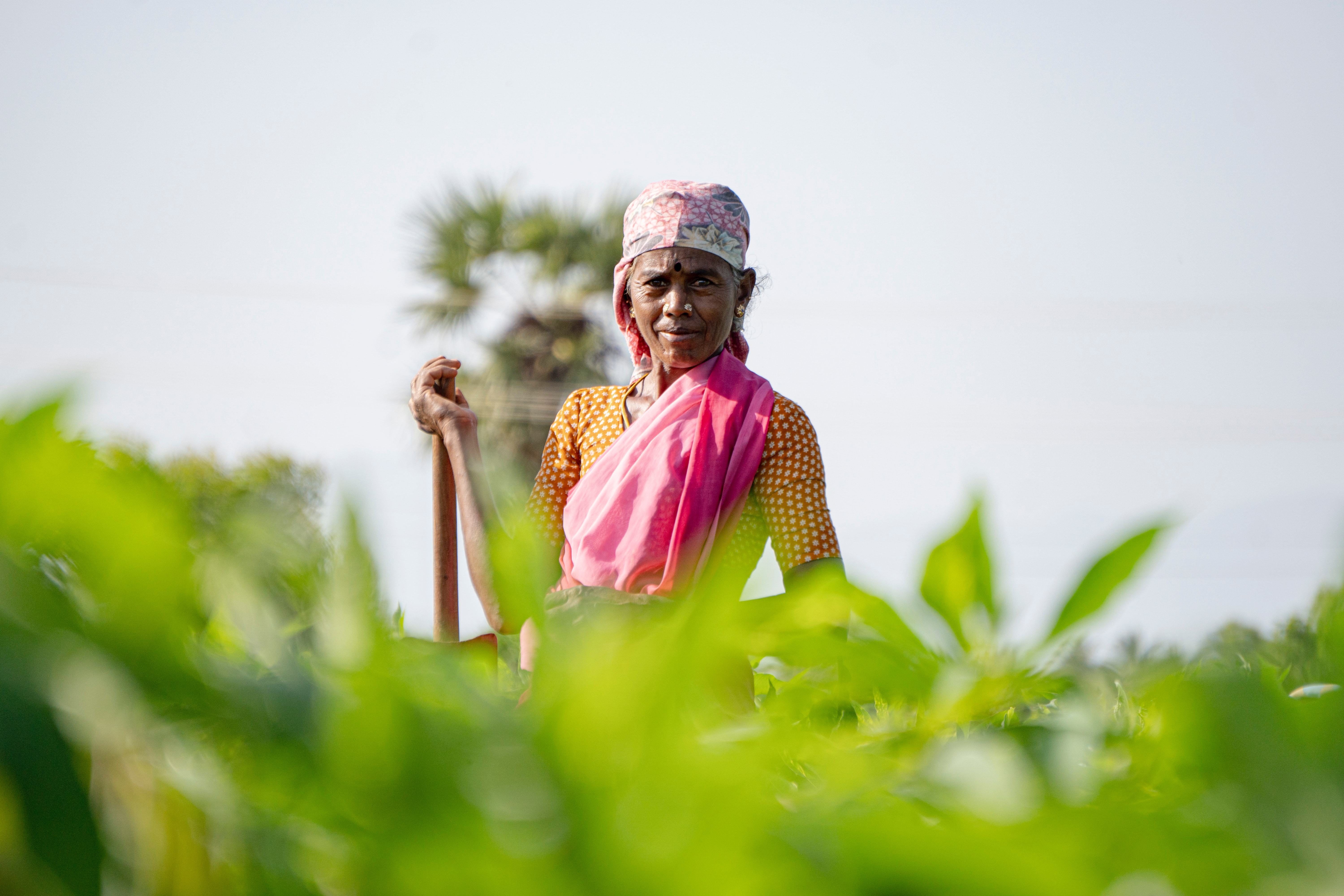 Female Farmer in India